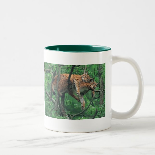 Caneca De Café Em Dois Tons Gatos sonolentos (Direita)