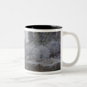 Caneca De Café Em Dois Tons Geada ao longo de um slough na Kelly Island