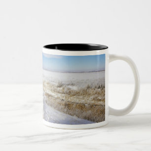 Caneca De Café Em Dois Tons Geada branca reveste o arbusto seco e a linha da c
