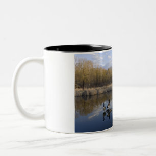 Caneca De Café Em Dois Tons Geese Perch no Parque de West Santo Paul