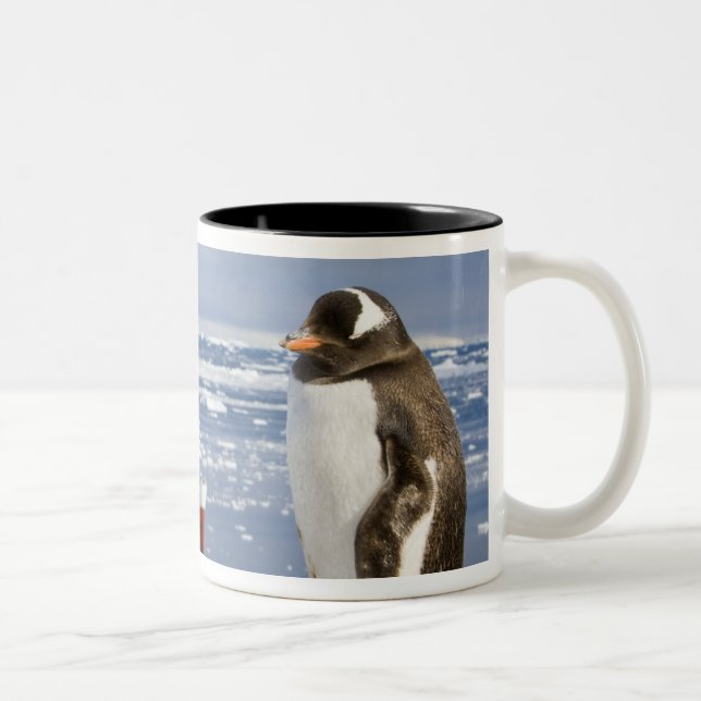 Caneca De Café Em Dois Tons Gentoo Penguin (Direita)
