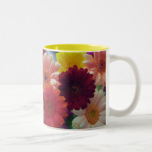 Caneca De Café Em Dois Tons Gerbera Daisy Flowers Fotografa Art Coffee Mugs