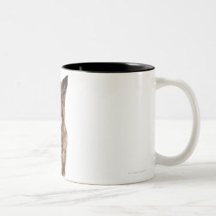 Caneca De Café Em Dois Tons German shepherd