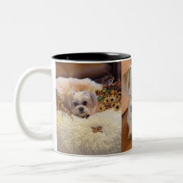 Caneca De Café Em Dois Tons Gilbert Mug