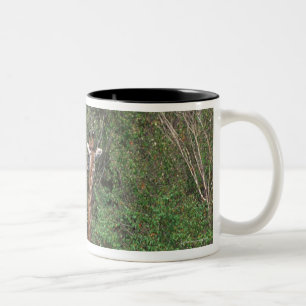 Caneca De Café Em Dois Tons Girafa 3 de Massai