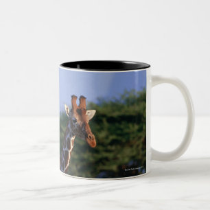 Caneca De Café Em Dois Tons Girafa Reticulated 2