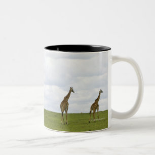 Caneca De Café Em Dois Tons Girafas em Kenya, África