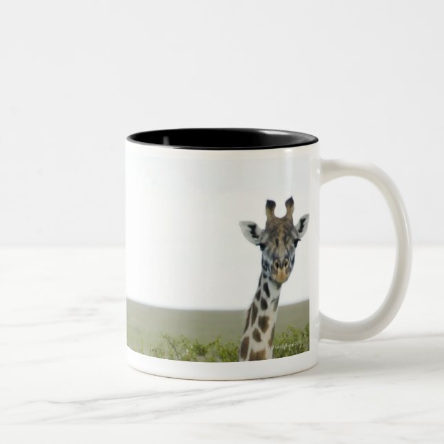 Caneca De Café Em Dois Tons Girafas em Kenya, África 2 (Direita)