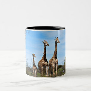Caneca De Café Em Dois Tons Girafas na Vista do Céu Aberto