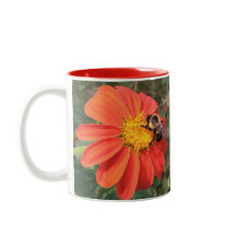 Girassol mexicano e abelha