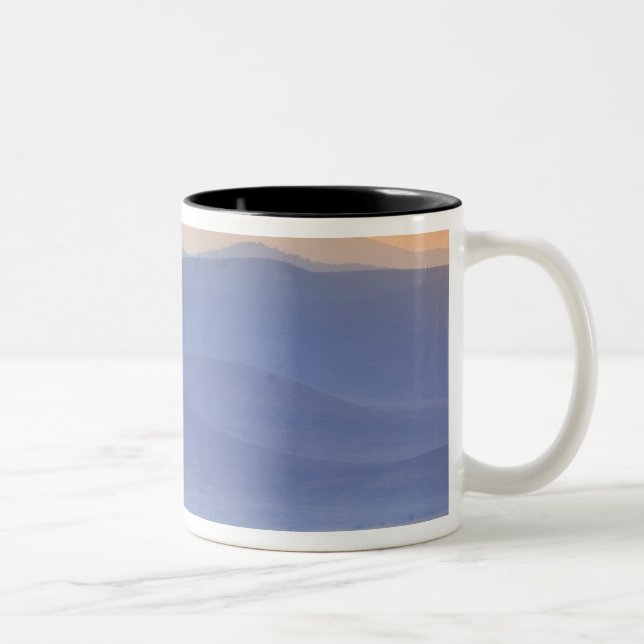 Caneca De Café Em Dois Tons Gnu durante migração, Connochaetes (Direita)
