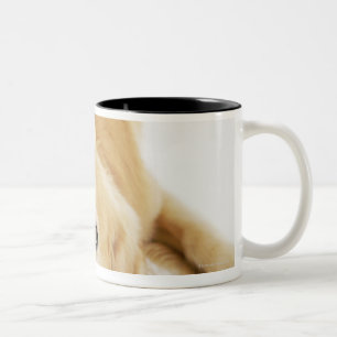 Caneca De Café Em Dois Tons Golden retriever e ornamento