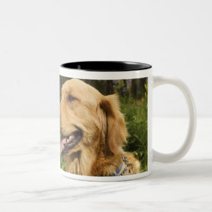 Caneca De Café Em Dois Tons Golden retriever no campo