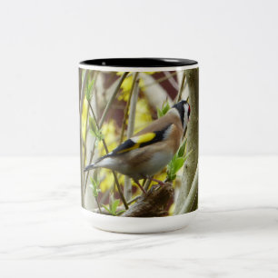 Caneca De Café Em Dois Tons Goldfinch tímido