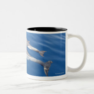 Caneca De Café Em Dois Tons Golfinho comum no passo