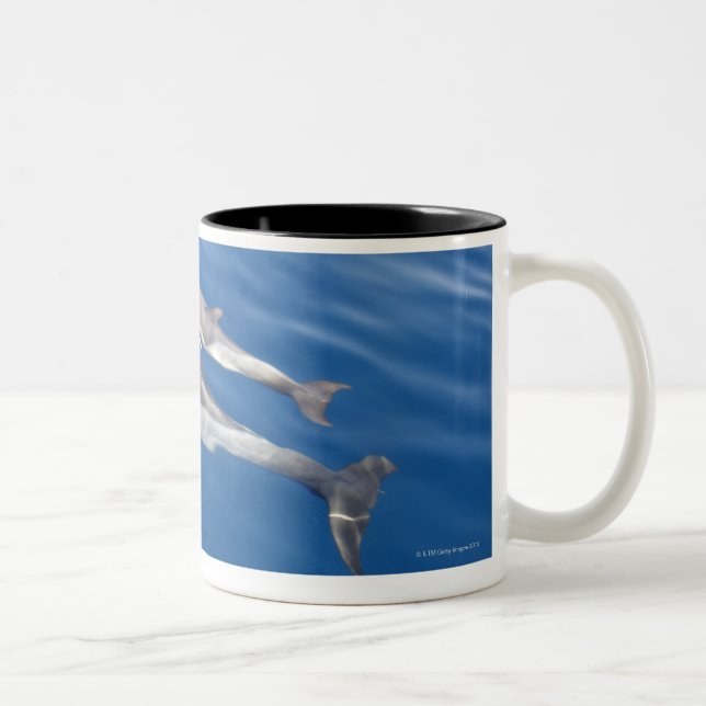 Caneca De Café Em Dois Tons Golfinho comum no passo (Direita)