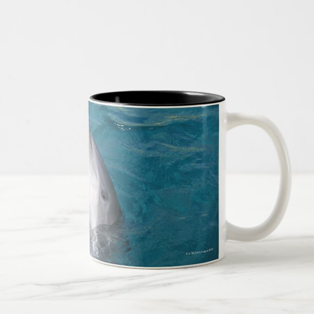 Caneca De Café Em Dois Tons Golfinho de Bottlenose litoral (Direita)