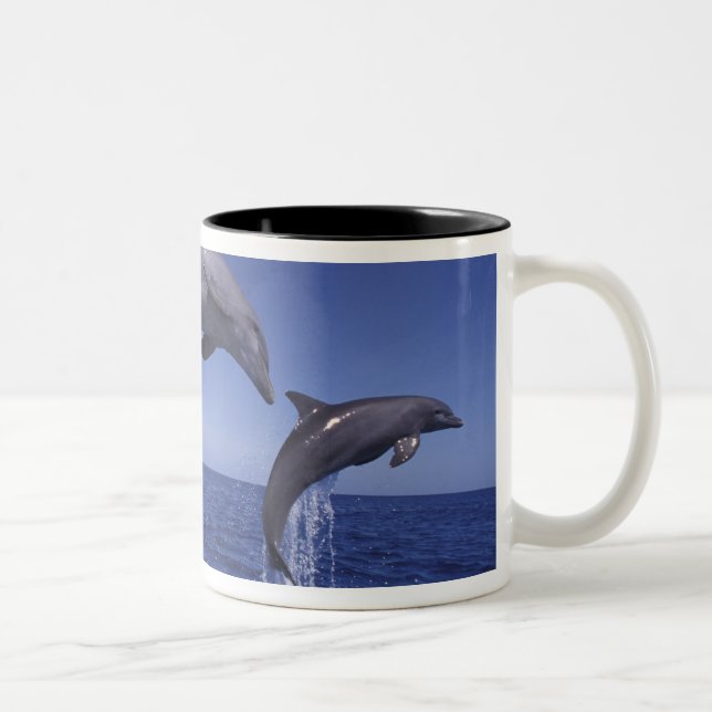 Caneca De Café Em Dois Tons golfinhos-do-caribe, nariz-de-garrafa (Direita)