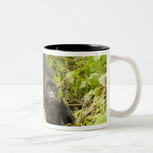 Caneca De Café Em Dois Tons Gorila-da-montanha, Gorilla beringei (anteriorment