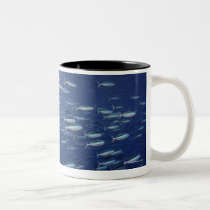 Caneca De Café Em Dois Tons Grande escola de fusiliers do bluestreak
