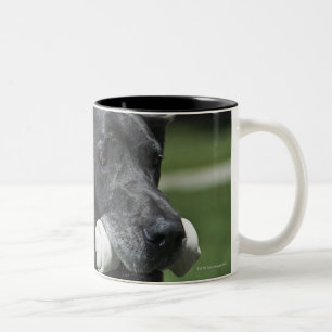 Caneca De Café Em Dois Tons Great dane com osso
