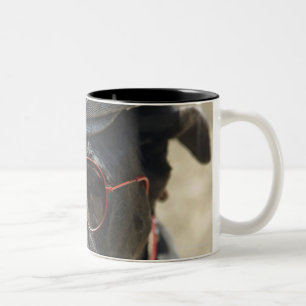 Caneca De Café Em Dois Tons Great dane que veste o chapéu e os óculos de sol