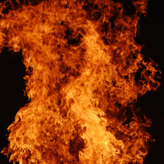 Caneca De Café Em Dois Tons Green Love