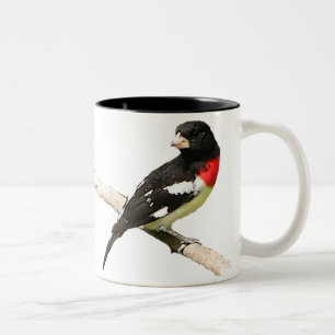 Caneca De Café Em Dois Tons Grosbeak do Rosa-breasted
