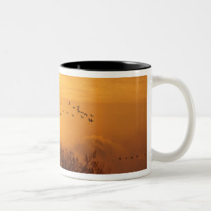 Caneca De Café Em Dois Tons Gruas de Sandhill silhuetas contra sol ascensão