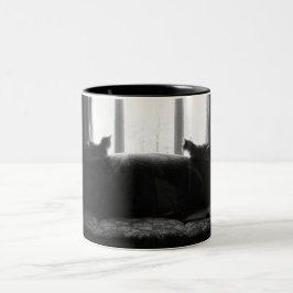 Caneca De Café Em Dois Tons Há algo melhor para fora lá