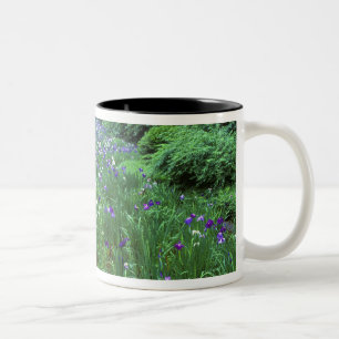 Caneca De Café Em Dois Tons Hana Shobu (Japonês Water Iris), Santuário Meiji,