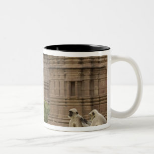 Caneca De Café Em Dois Tons Hanuman Langurs ou de cara preta, Comum ou Cinza
