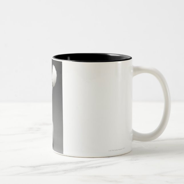 Caneca De Café Em Dois Tons Haunches da caniche, no fundo cinzento (Direita)