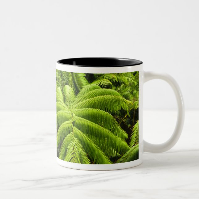 Caneca De Café Em Dois Tons Havaí, Ilha Grande, Verde tropical exuberante em 2 (Direita)