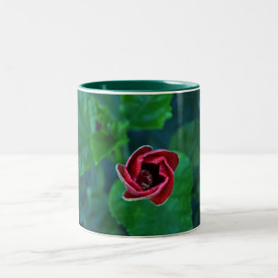 Caneca De Café Em Dois Tons Hibiscus vermelho novo floral