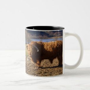 Caneca De Café Em Dois Tons Highland Cattle Bull, Escócia