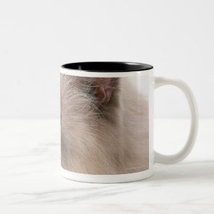 Caneca De Café Em Dois Tons Himalaia