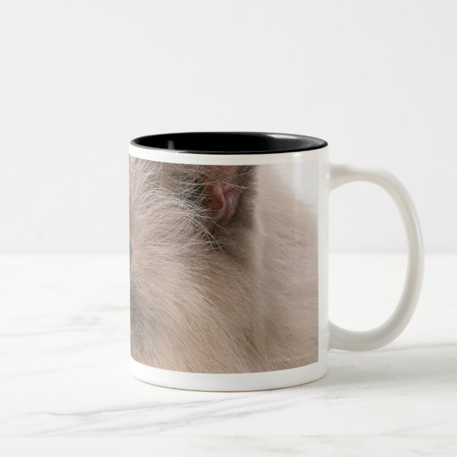 Caneca De Café Em Dois Tons Himalaia (Direita)