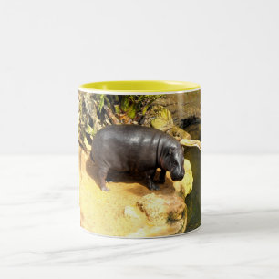 Caneca De Café Em Dois Tons Hippo curtindo o sol primavera