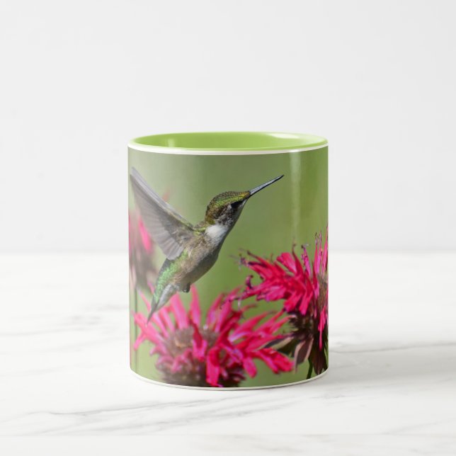 Caneca De Café Em Dois Tons Hummingbird - Cama de Dois Toneladas (Centro)