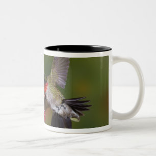 Caneca De Café Em Dois Tons Hummingbird com garganta-seca masculina