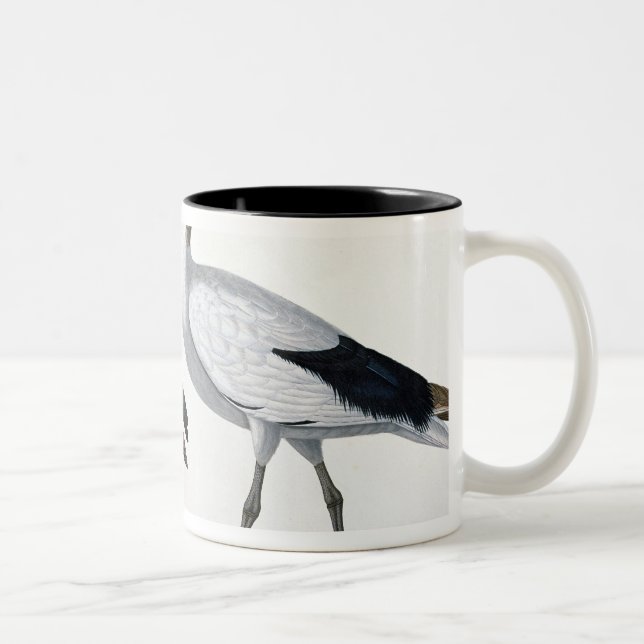Caneca De Café Em Dois Tons Íbis, da "descrição de l'Eypte", 1817 (Direita)