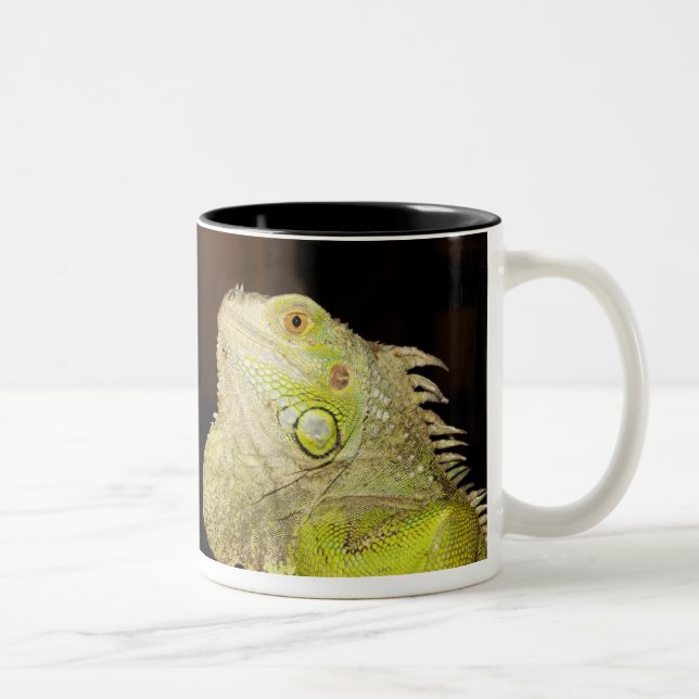 Caneca De Café Em Dois Tons Iguana verde (iguana da iguana) (Direita)