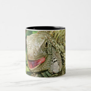 Caneca De Café Em Dois Tons Iguanas