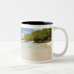 Caneca De Café Em Dois Tons Ilha Aux Cerf, passeio de um dia mais popular para