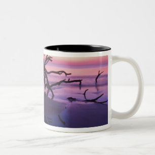 Caneca De Café Em Dois Tons Ilha GA Jekyll, Cemitério de árvores na praia em