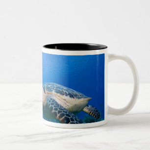 Caneca De Café Em Dois Tons Ilhas Cayman, Little Cayman Island, Subaquático 2