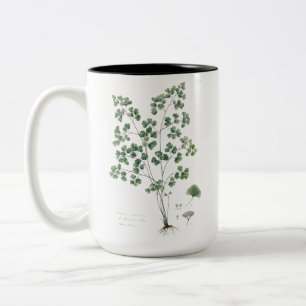 Caneca De Café Em Dois Tons Ilustração Botânica de Samambaia-donzela Vintage