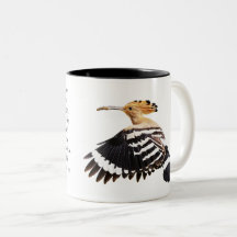 Ilustração de ave Hoopoe Art Birdwatcher Gift