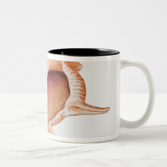 Caneca De Café Em Dois Tons Ilustração do escudo do Murex (Direita)